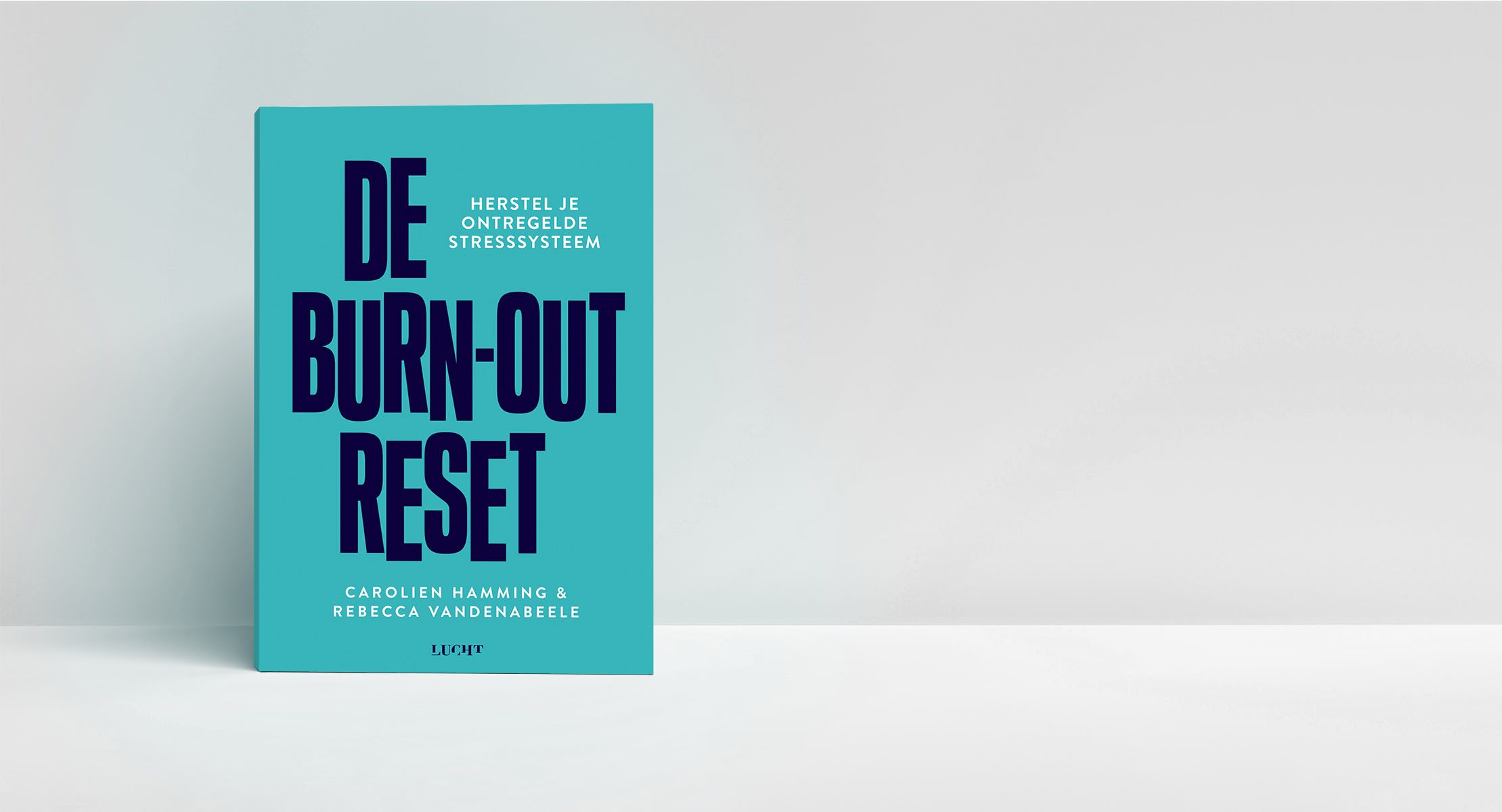 De Burn-out Reset